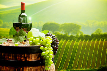 Italian wines - italy