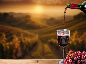 Red-Wine-retailers