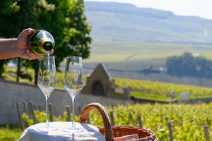 Sparkling Wines 