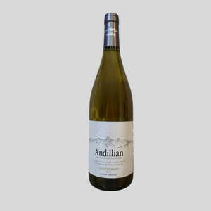 Andillian, La Coste de los Andes, 2019 75cl bottle